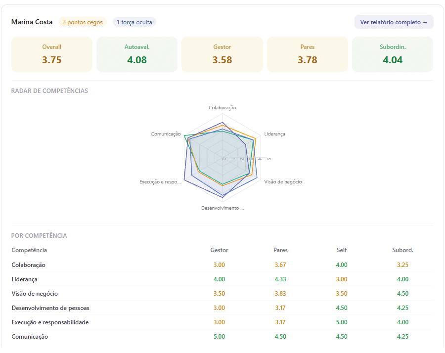 Resumo do relatório individual com scores por grupo de avaliador