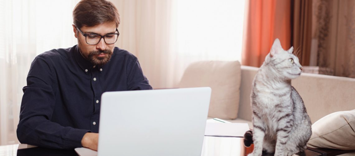 Produtividade no home office: os prós e contras